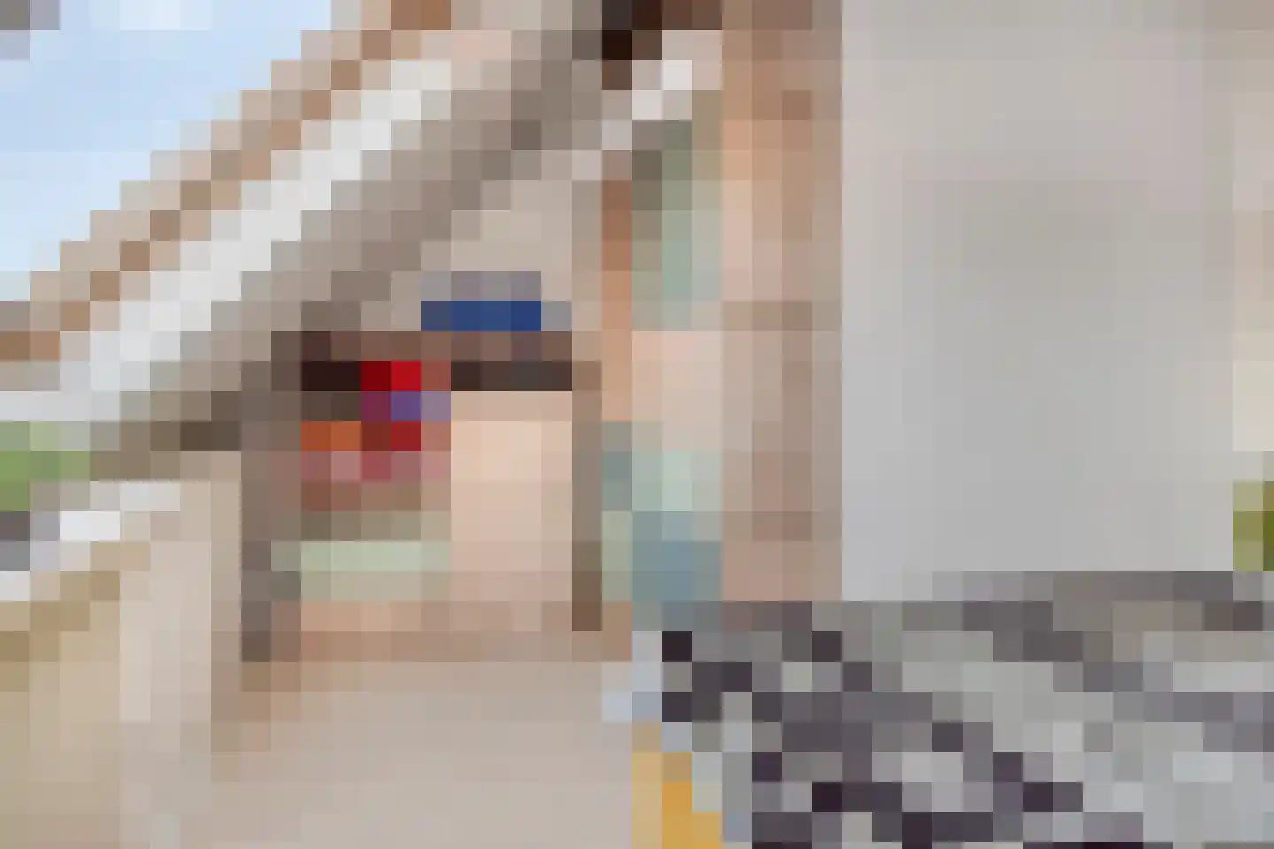Graanakker 70 Waddinxveen thumbnail 29