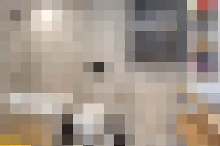 Graanakker 70 Waddinxveen thumbnail 30