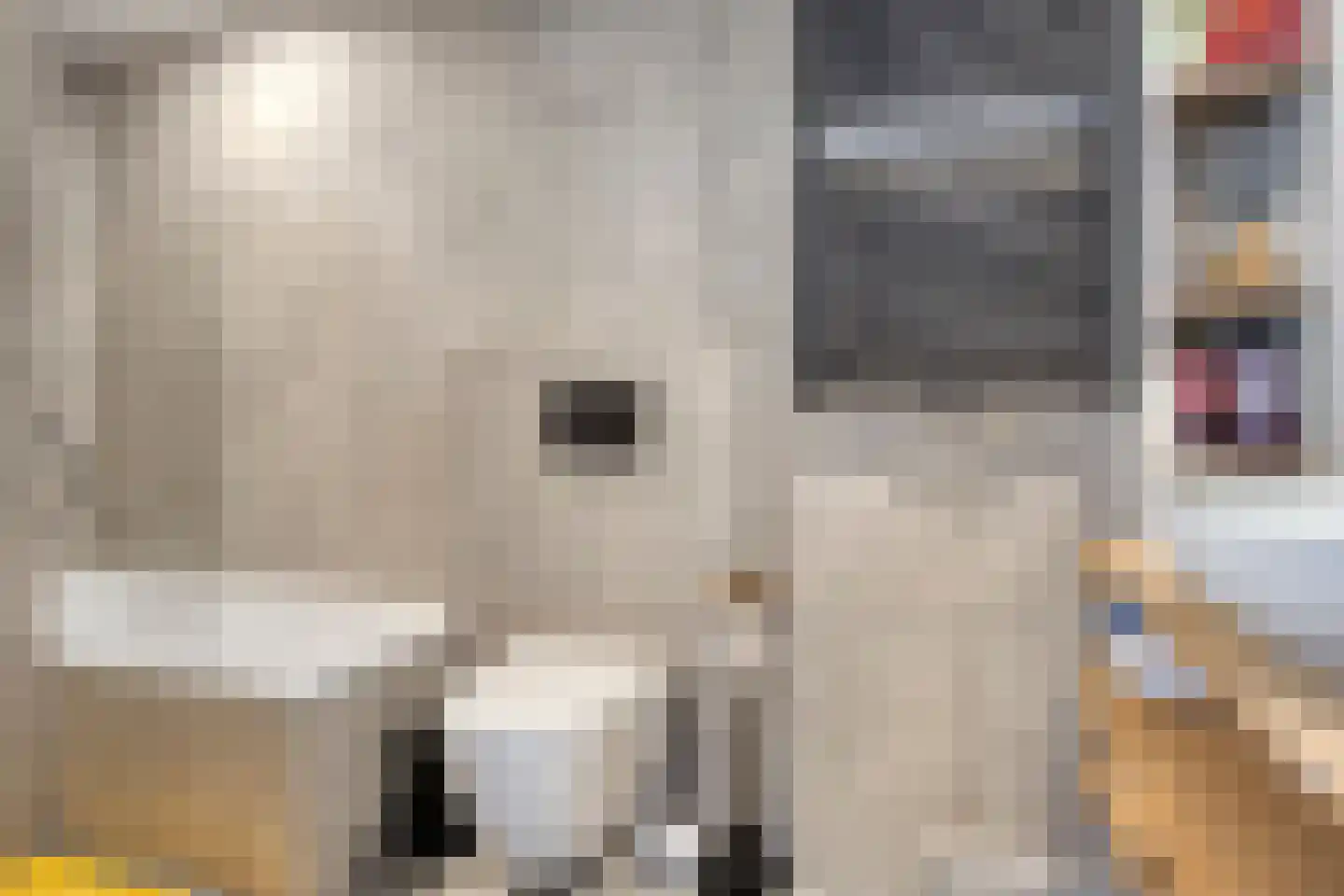 Graanakker 70 Waddinxveen thumbnail 30