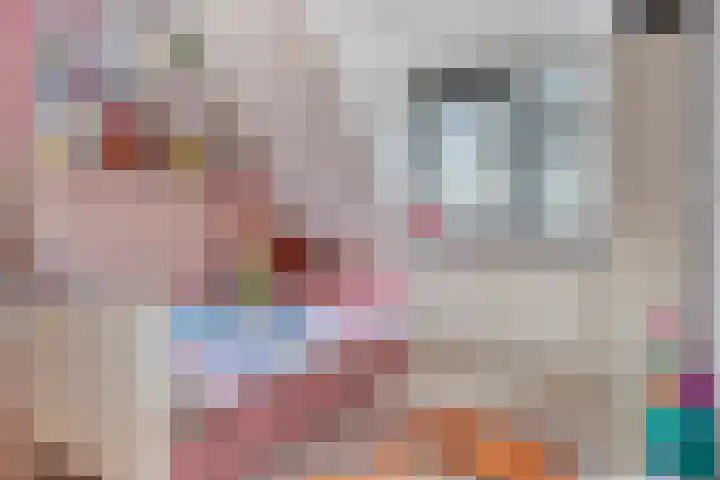 Graanakker 70 Waddinxveen thumbnail 33