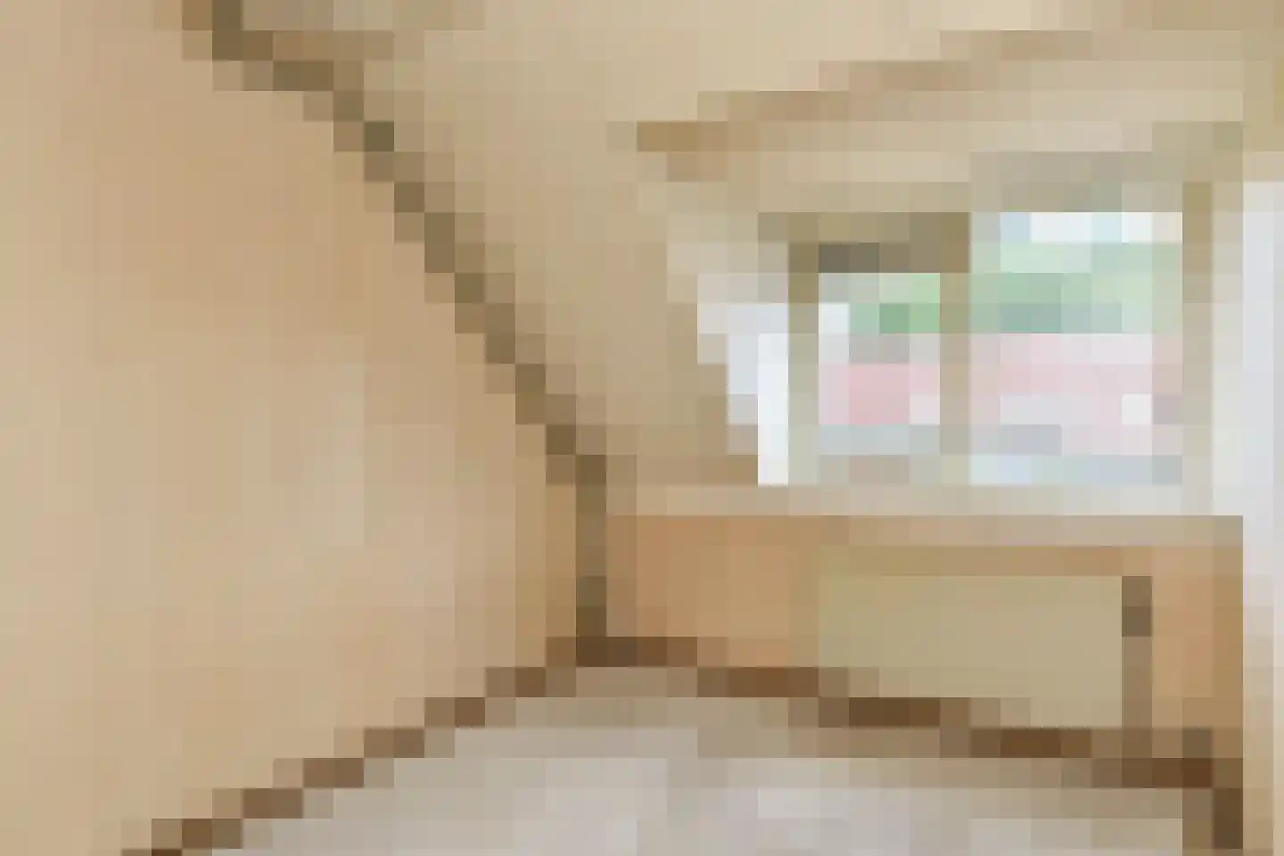 Graanakker 95 Waddinxveen thumbnail 22