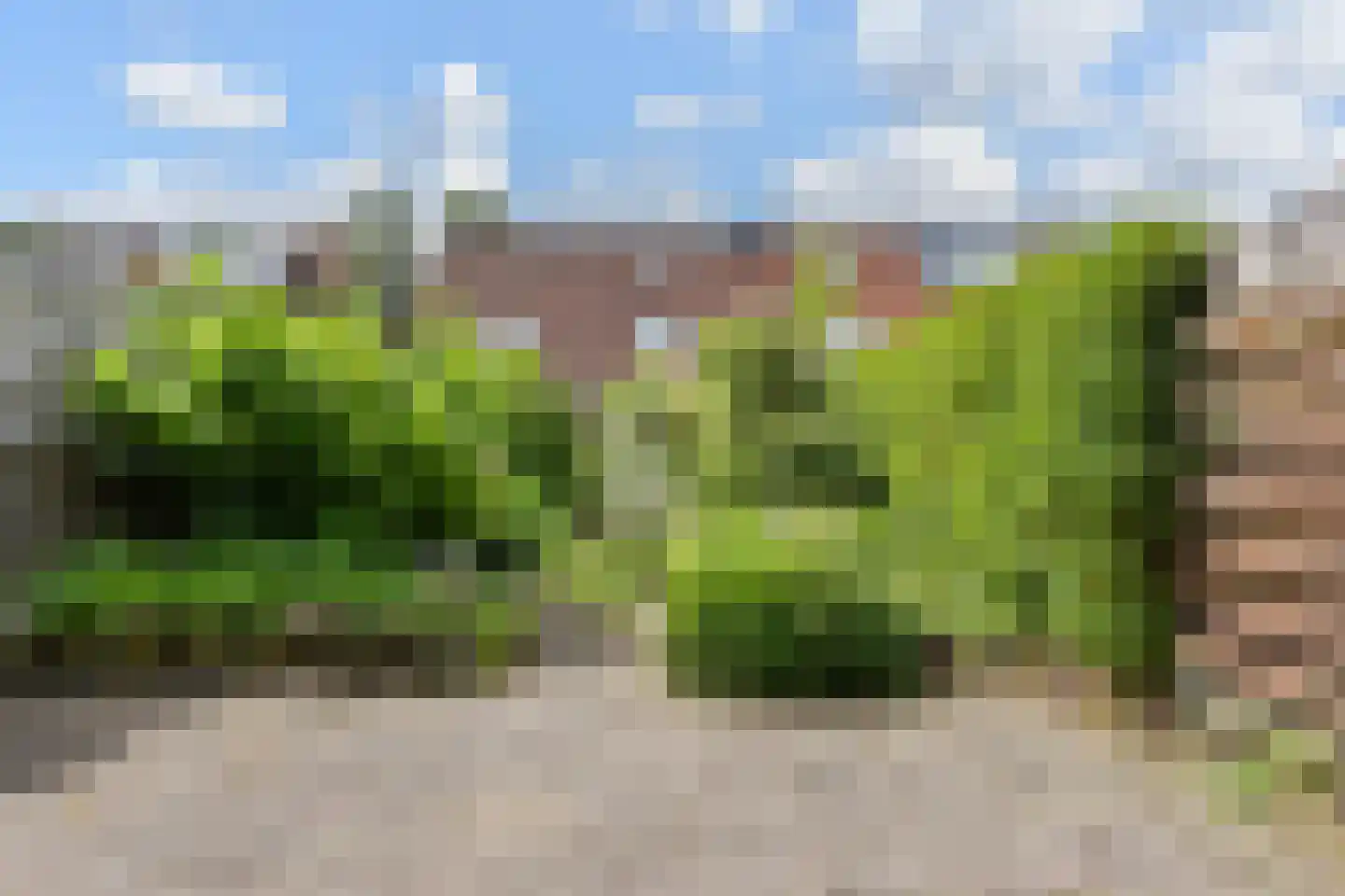Graanakker 95 Waddinxveen thumbnail 26