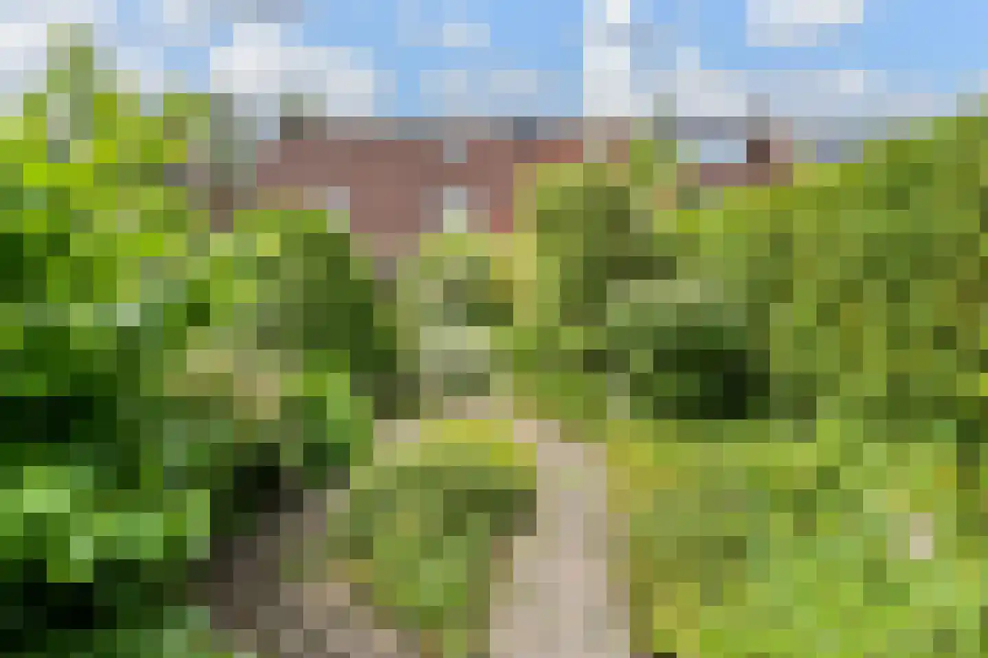 Graanakker 95 Waddinxveen thumbnail 27