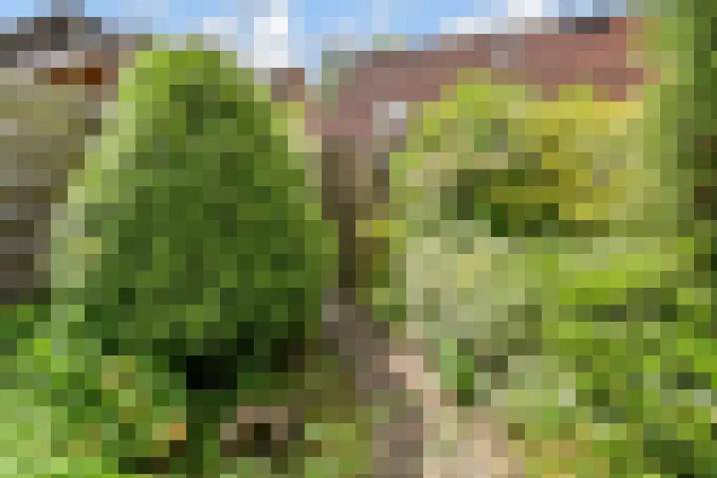 Graanakker 95 Waddinxveen thumbnail 28