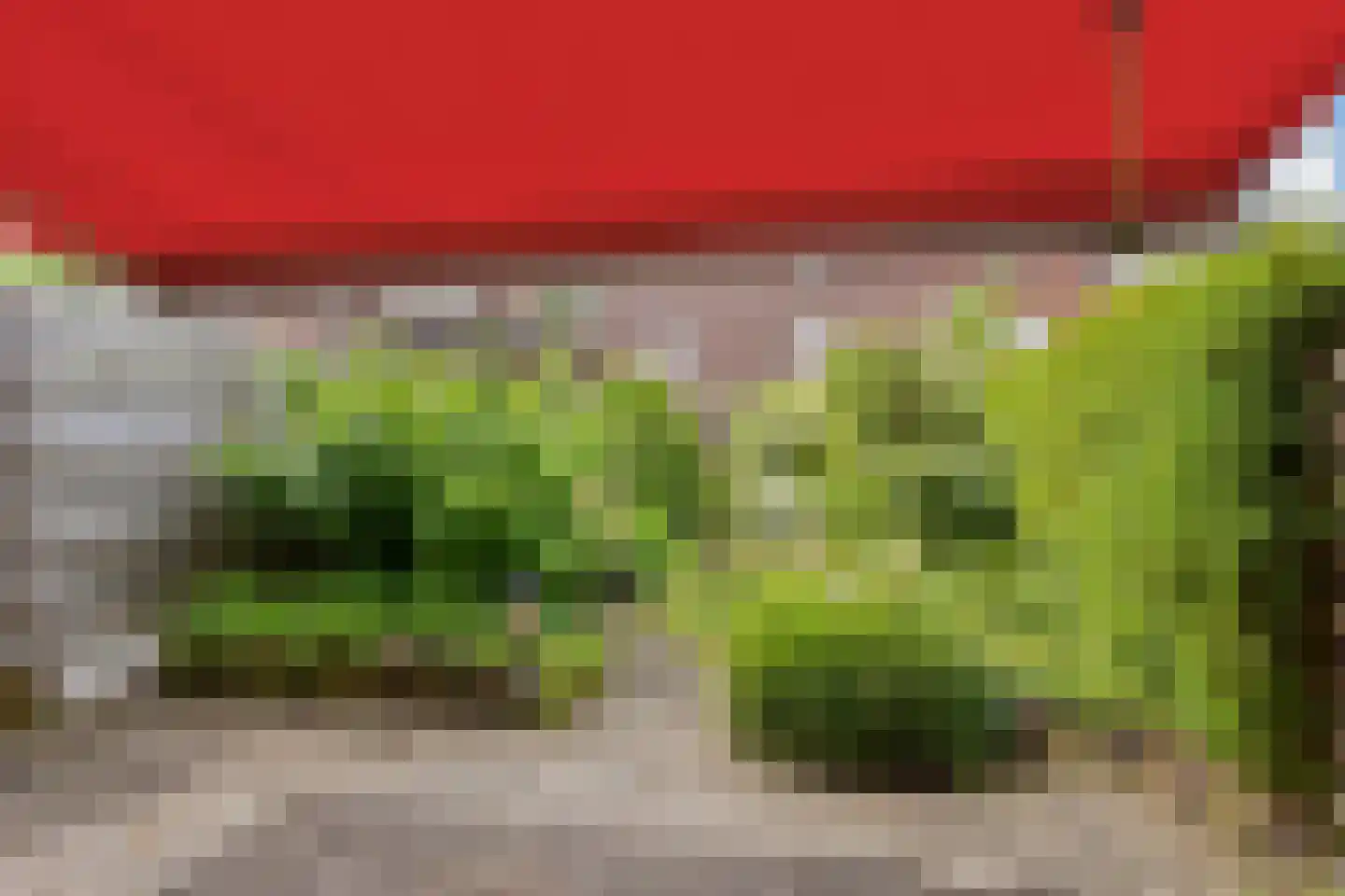 Graanakker 95 Waddinxveen thumbnail 32