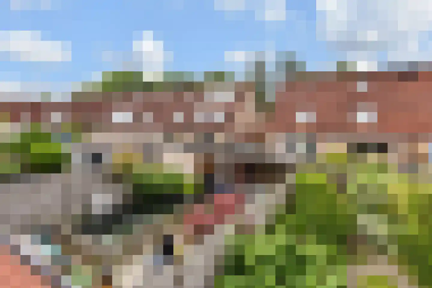 Graanakker 95 Waddinxveen thumbnail 34