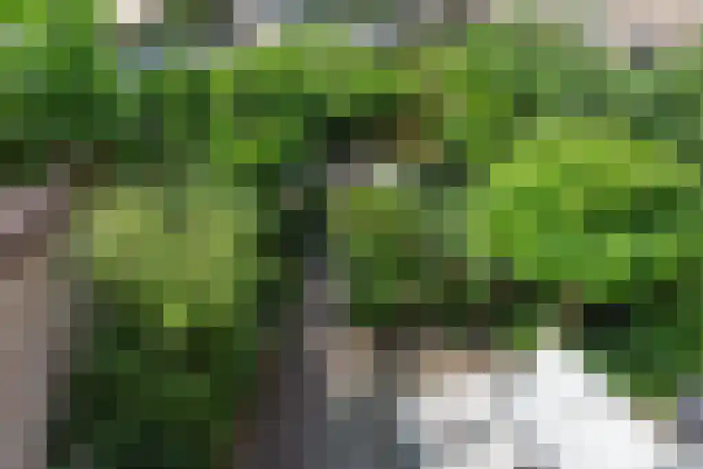 Graanhoeve 1 Houten thumbnail 24