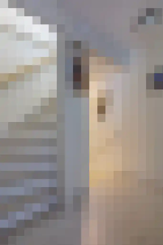 Graanhoeve 1 Houten thumbnail 34