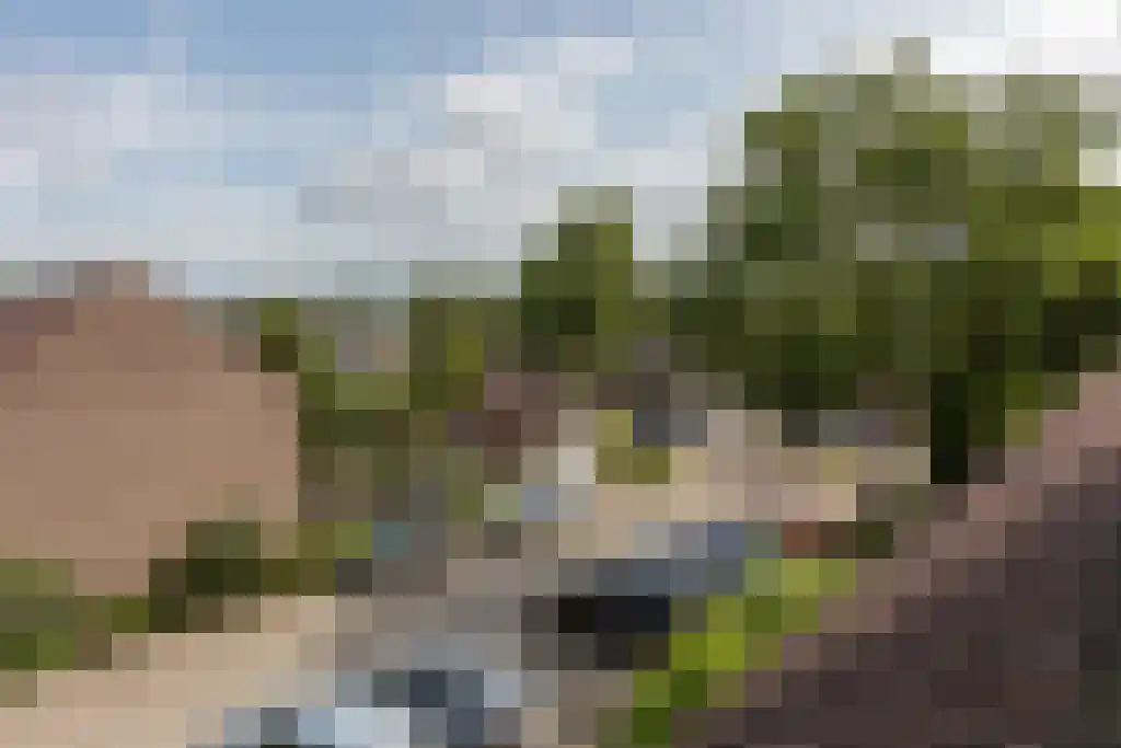 Graanhoeve 1 Houten thumbnail 42