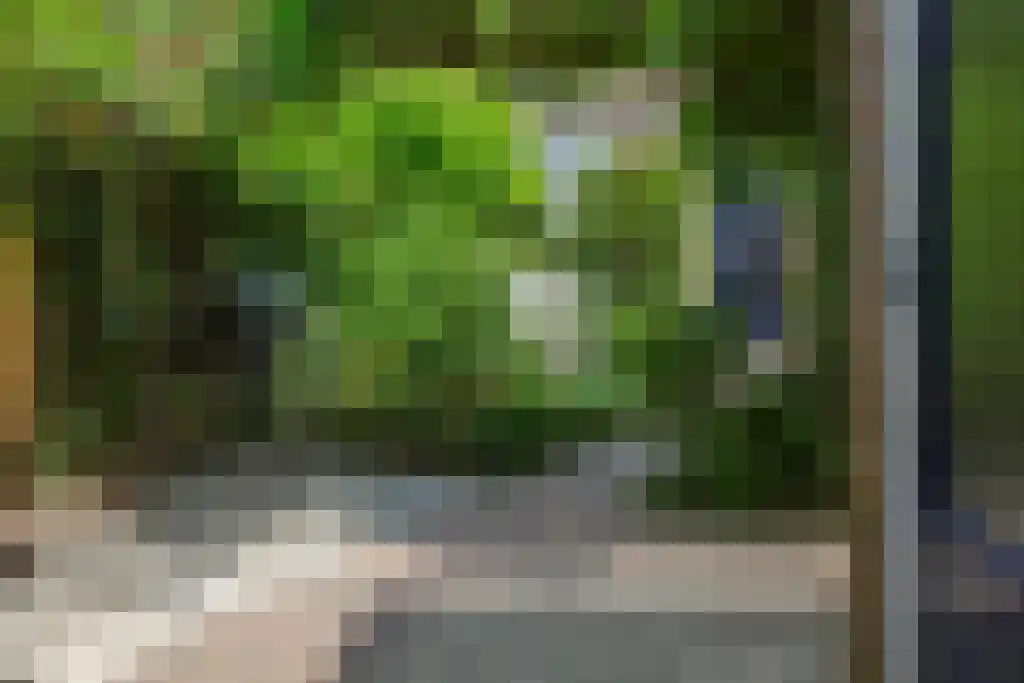Graanhoeve 1 Houten thumbnail 49