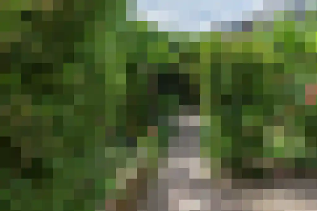 Graanhoeve 1 Houten thumbnail 51