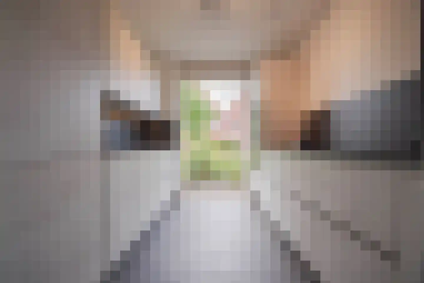 Graanhoeve 11 Arnhem thumbnail 16