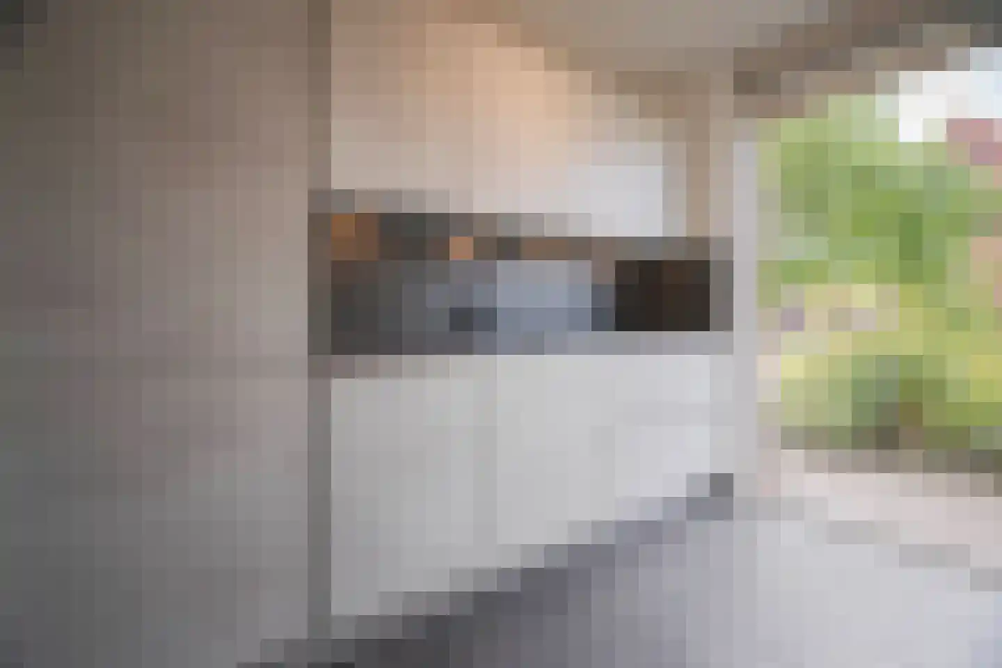Graanhoeve 11 Arnhem thumbnail 17