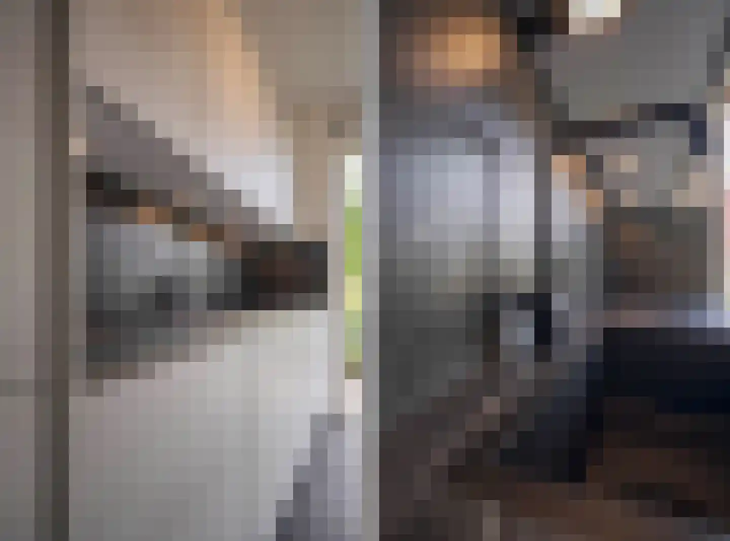 Graanhoeve 11 Arnhem thumbnail 19