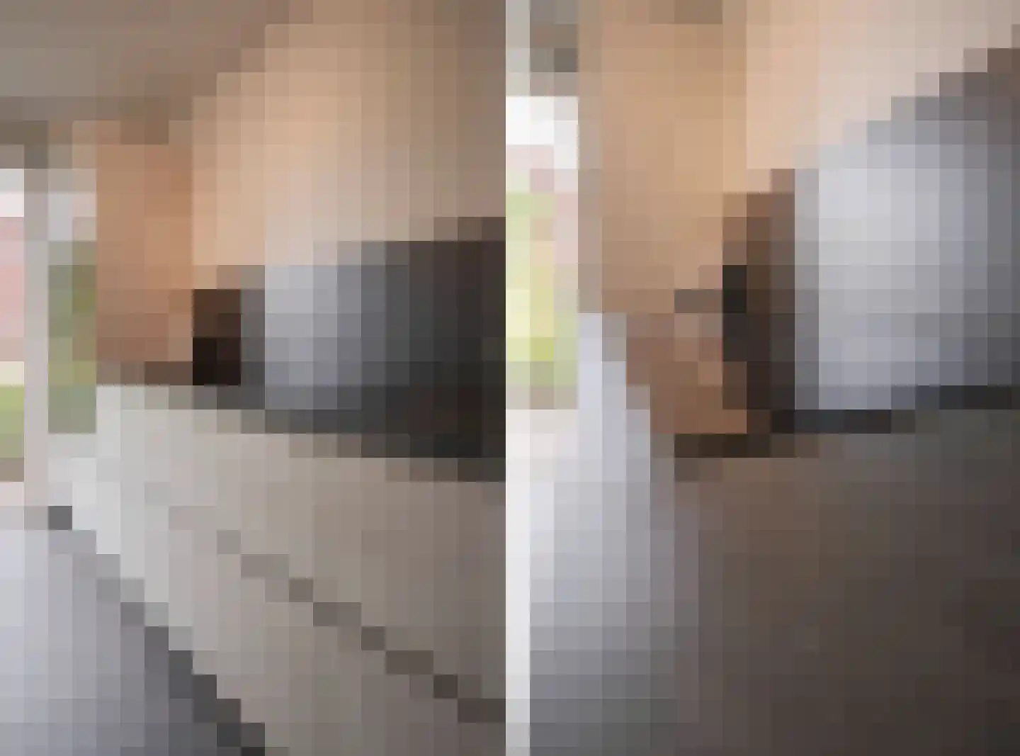 Graanhoeve 11 Arnhem thumbnail 20