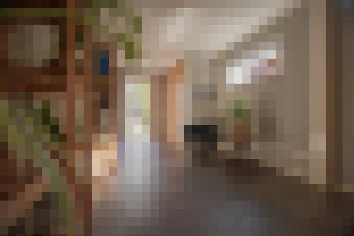 Graanhoeve 11 Arnhem thumbnail 22