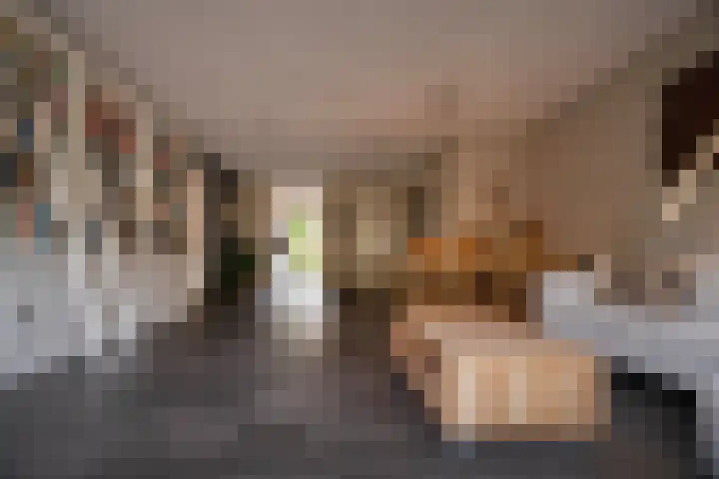 Graanhoeve 11 Arnhem thumbnail 4