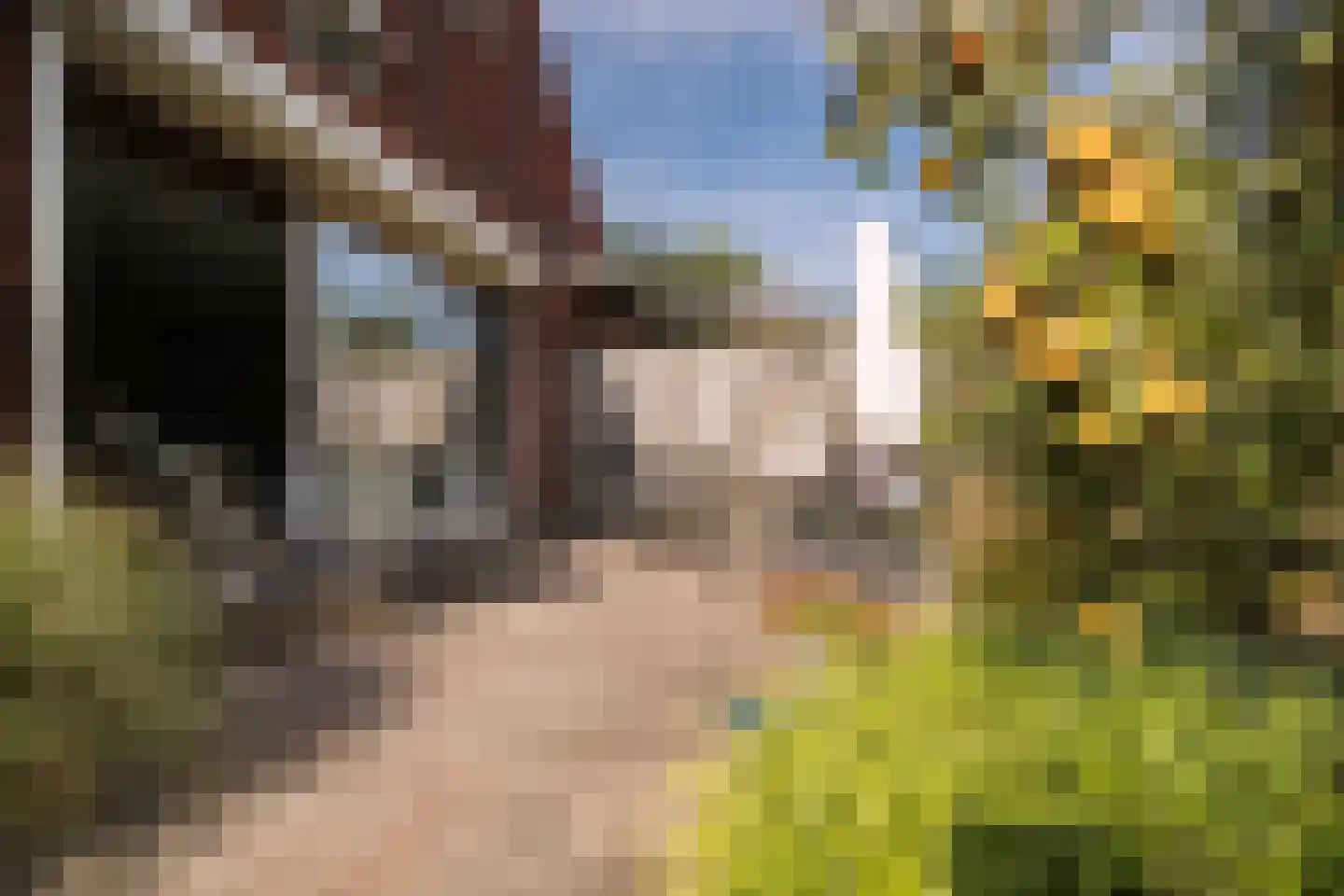 Graanhoeve 11 Arnhem thumbnail 60
