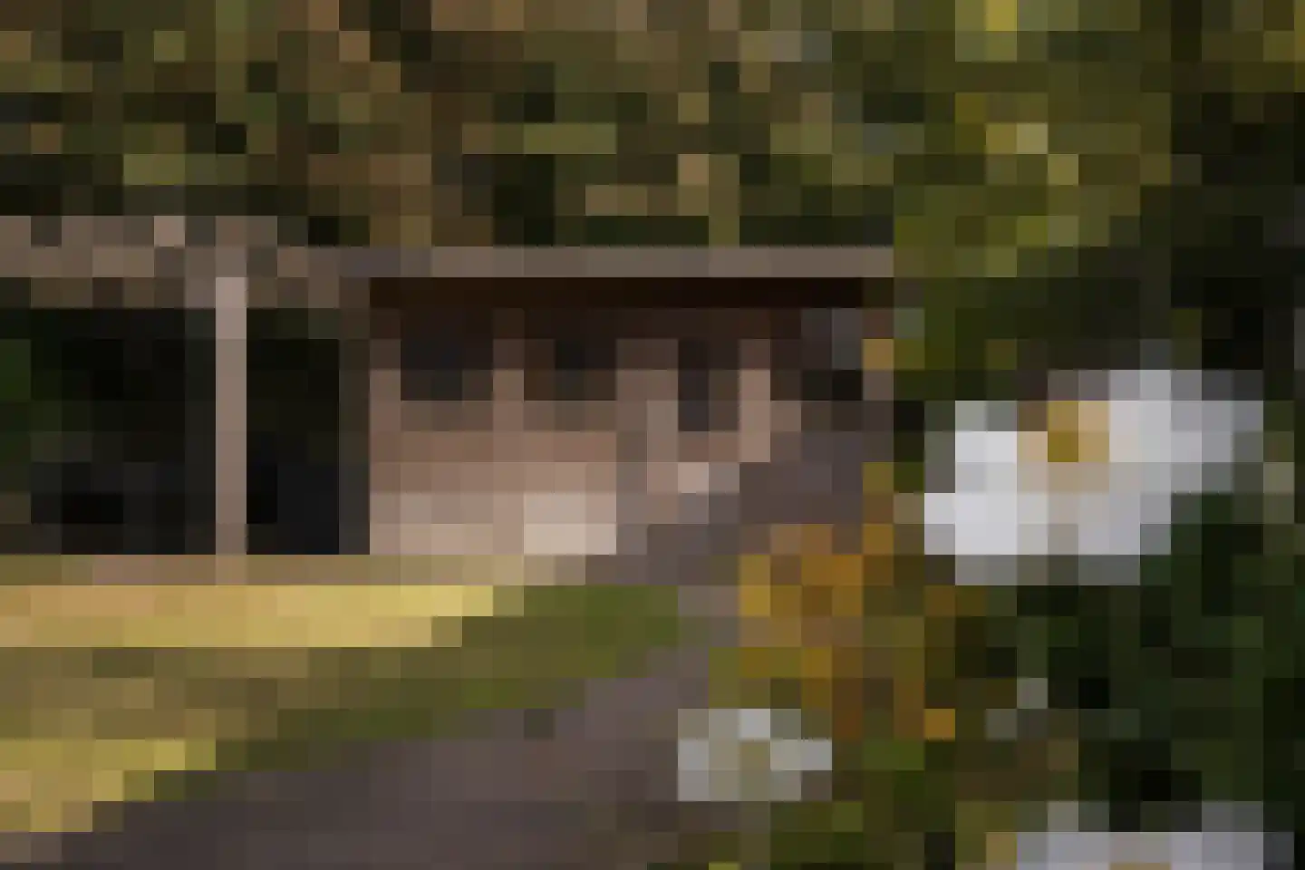 Graanhoeve 11 Arnhem thumbnail 61