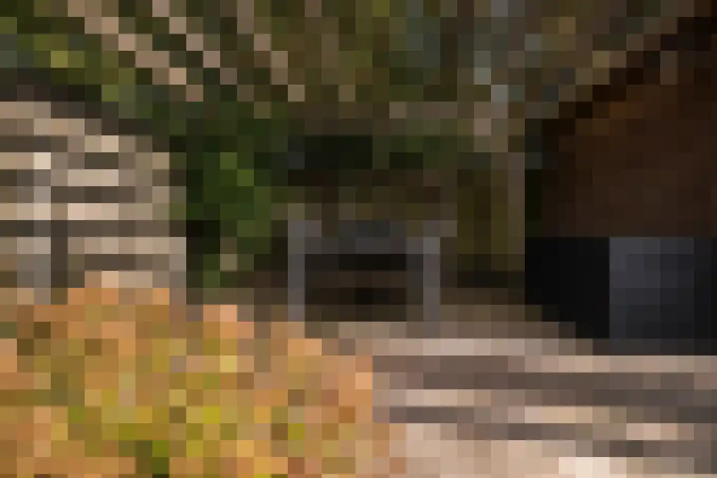 Graanhoeve 11 Arnhem thumbnail 62