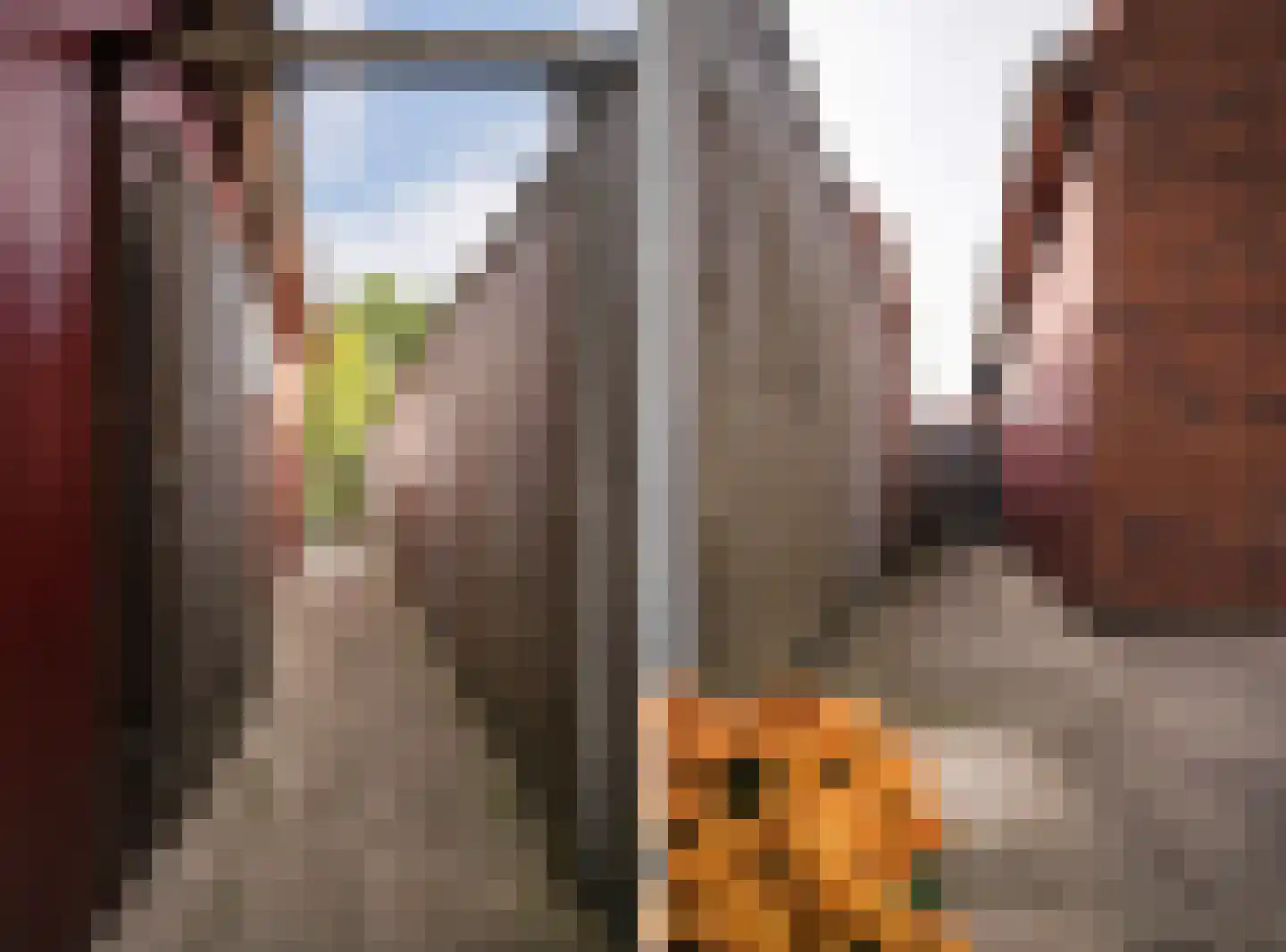 Graanhoeve 11 Arnhem thumbnail 64