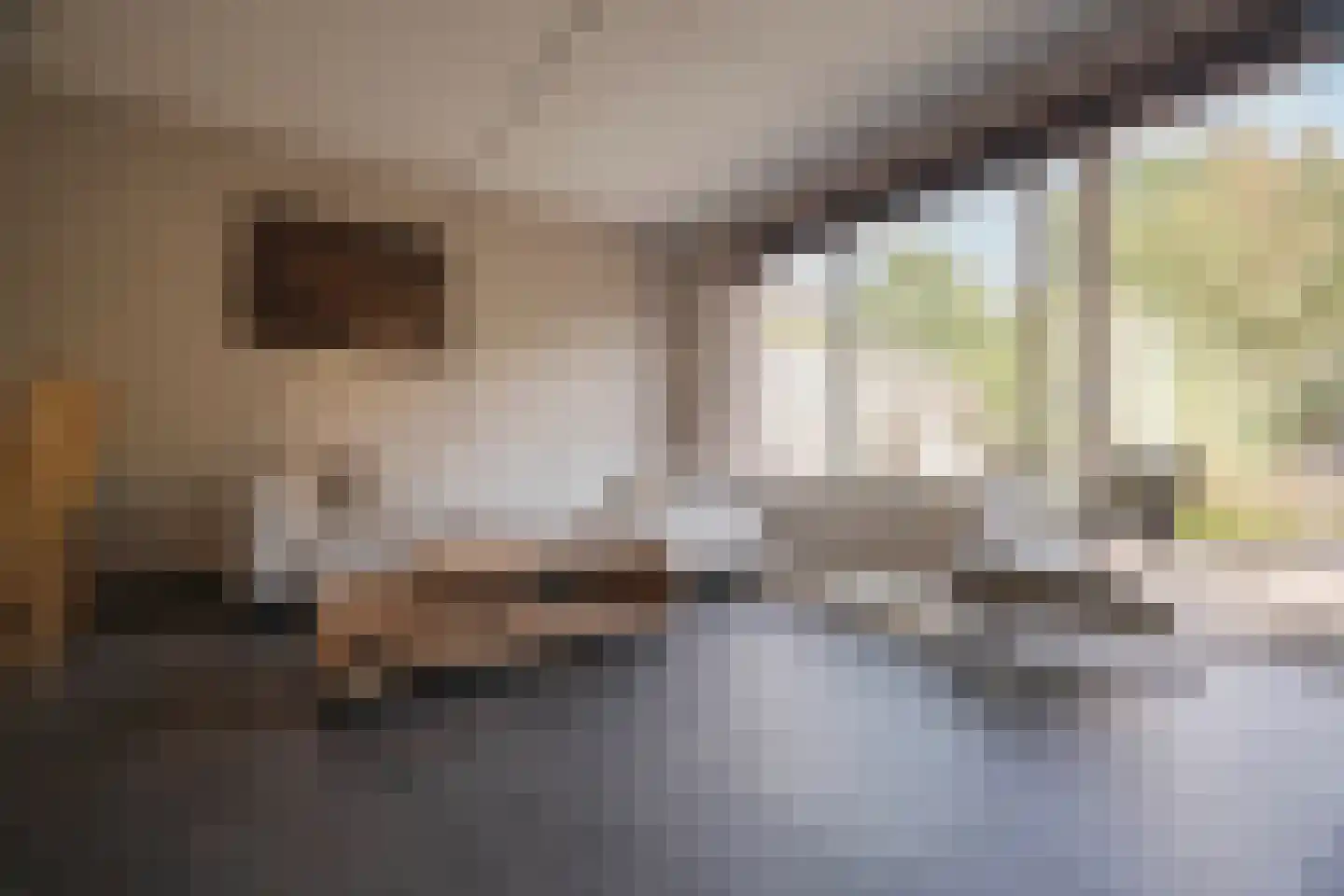 Graanhoeve 11 Arnhem thumbnail 9