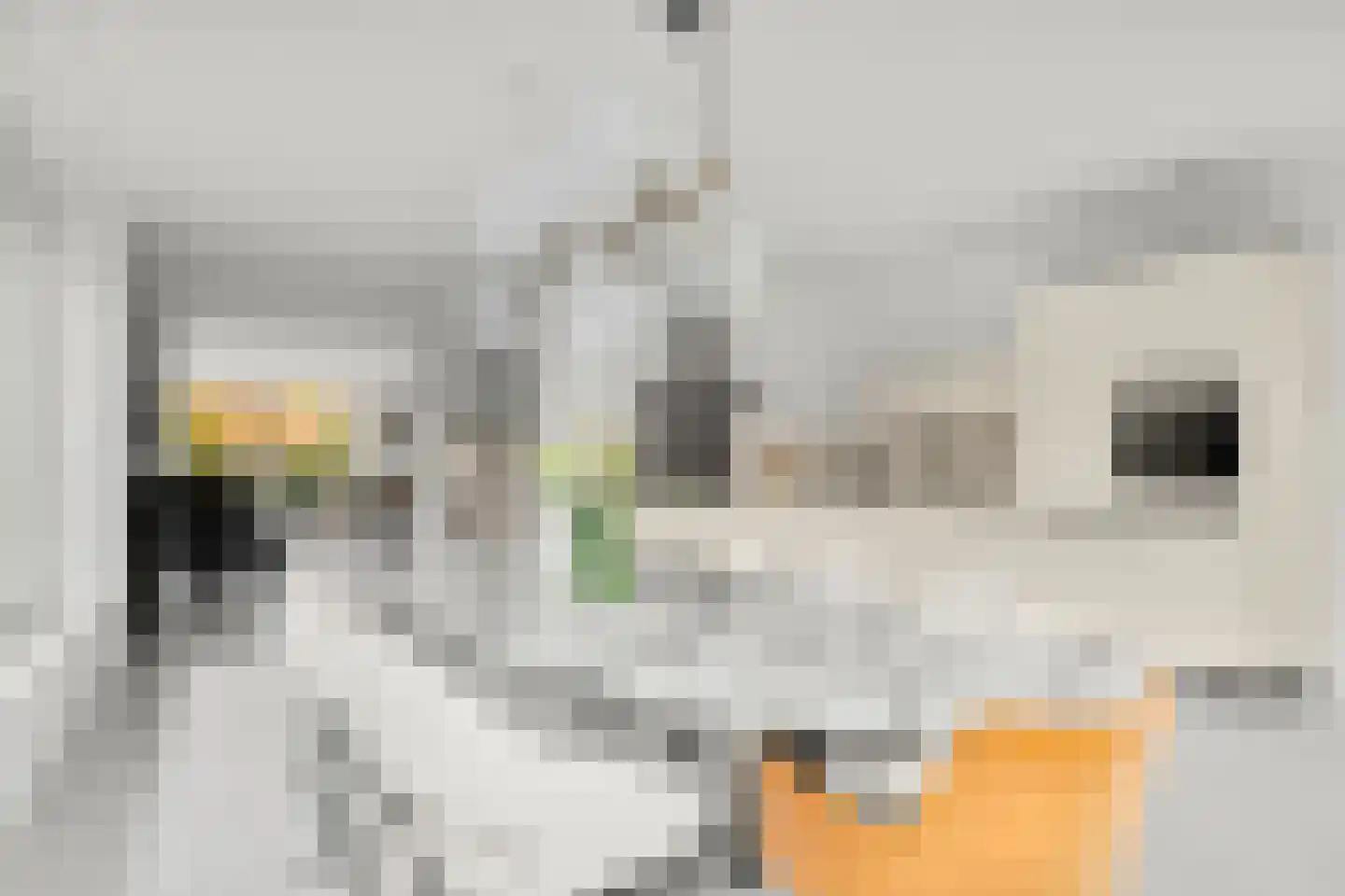 Graanhoeve 21 Arnhem thumbnail 10
