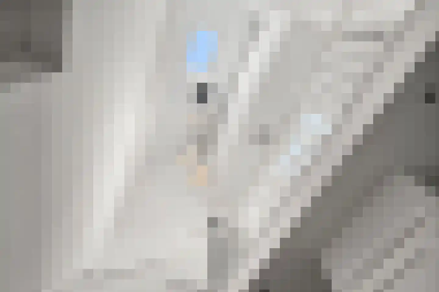 Graanhoeve 21 Arnhem thumbnail 15