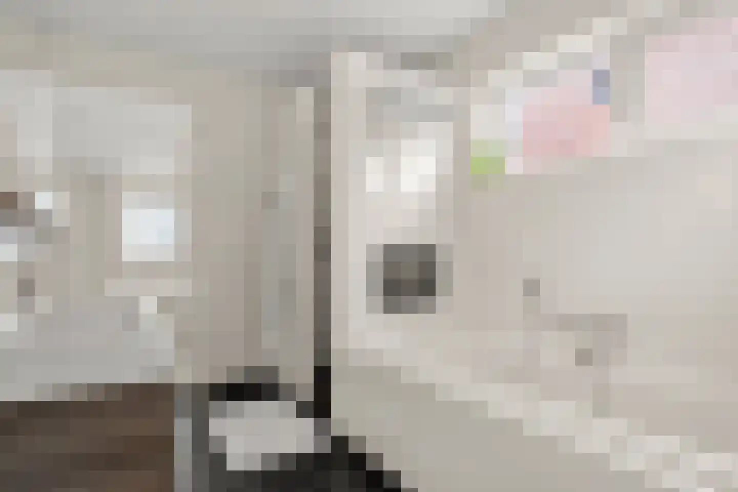 Graanhoeve 21 Arnhem thumbnail 27