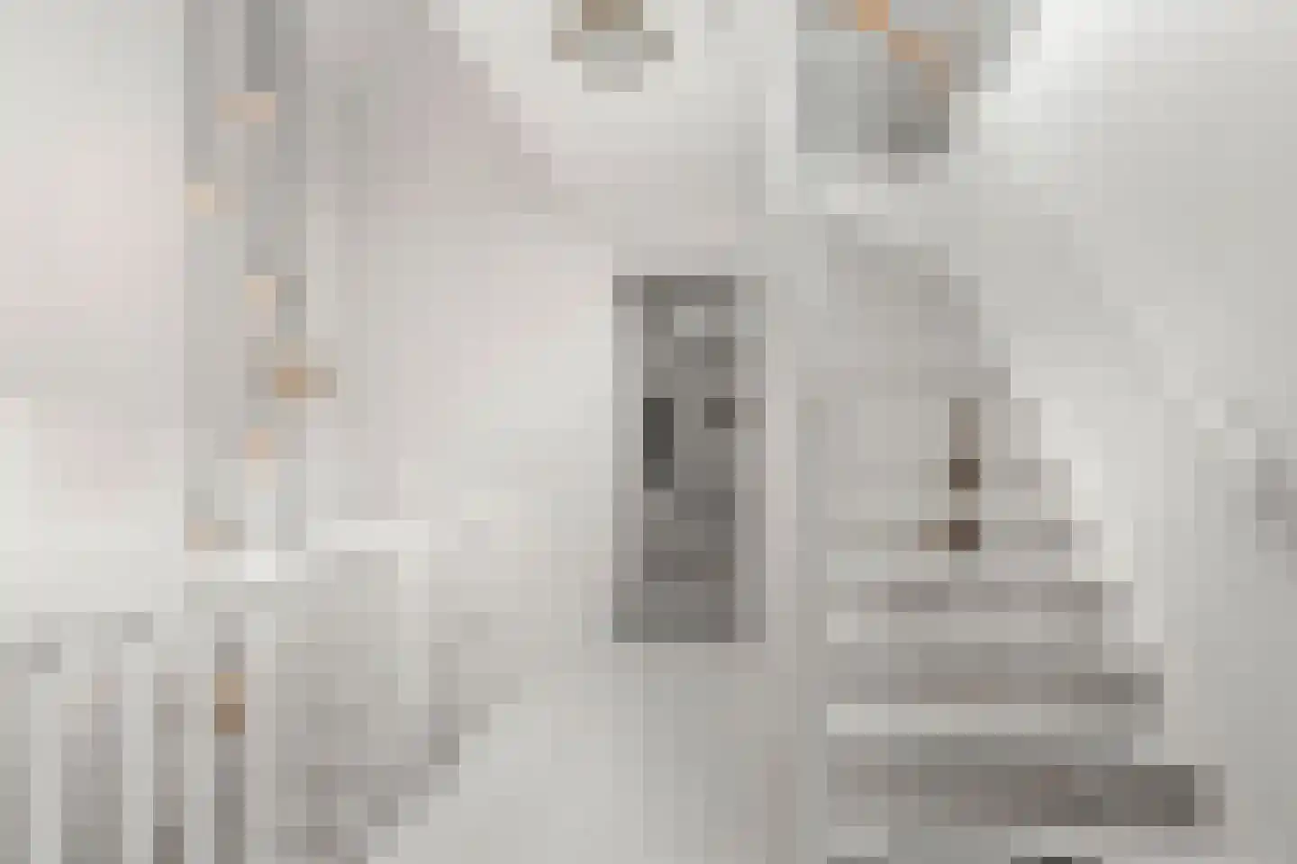 Graanhoeve 21 Arnhem thumbnail 31