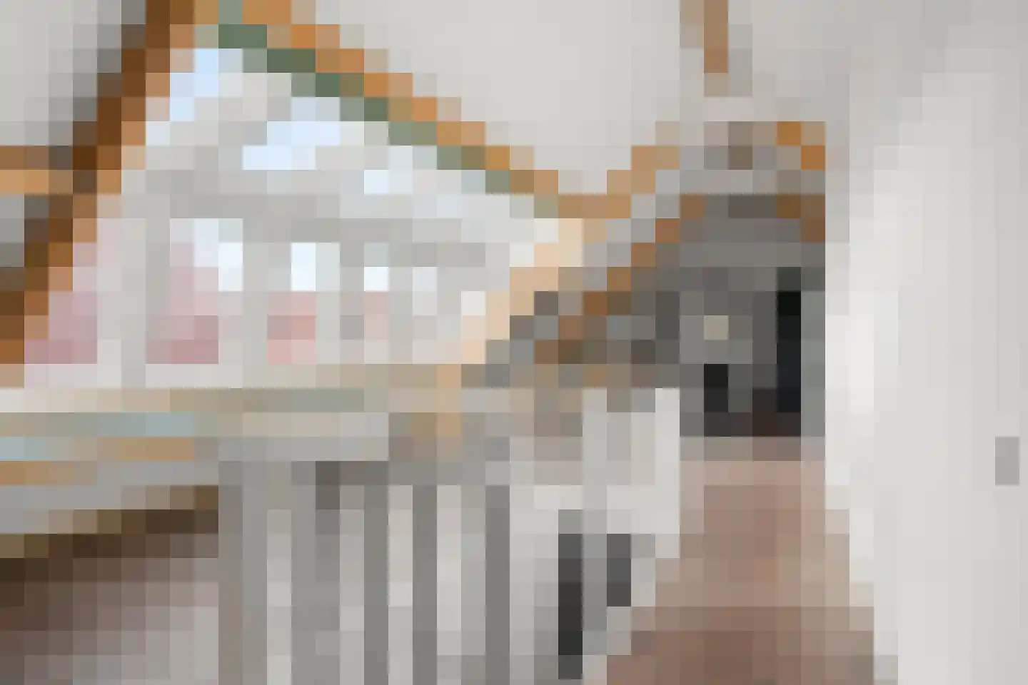 Graanhoeve 21 Arnhem thumbnail 32