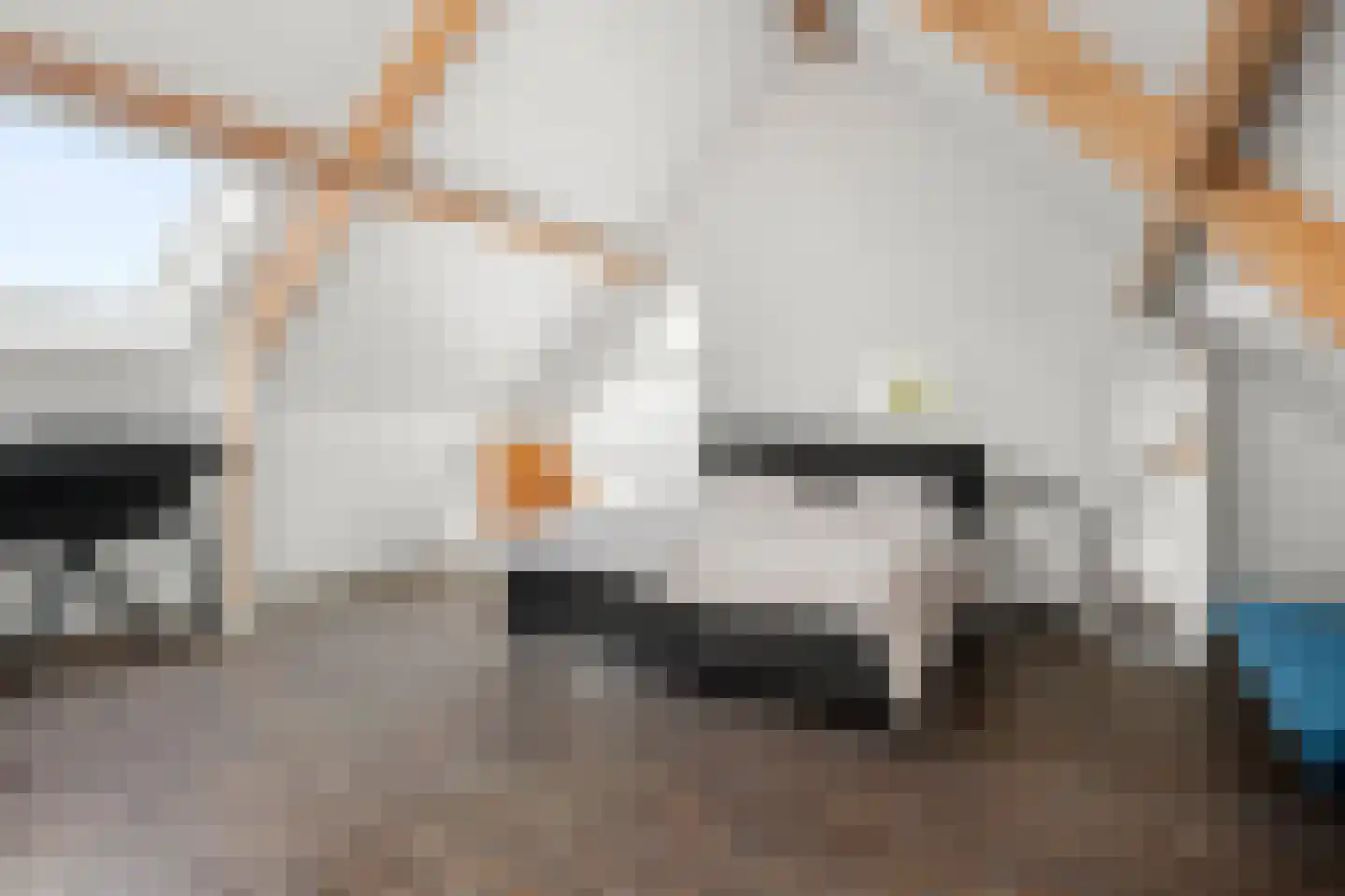 Graanhoeve 21 Arnhem thumbnail 34