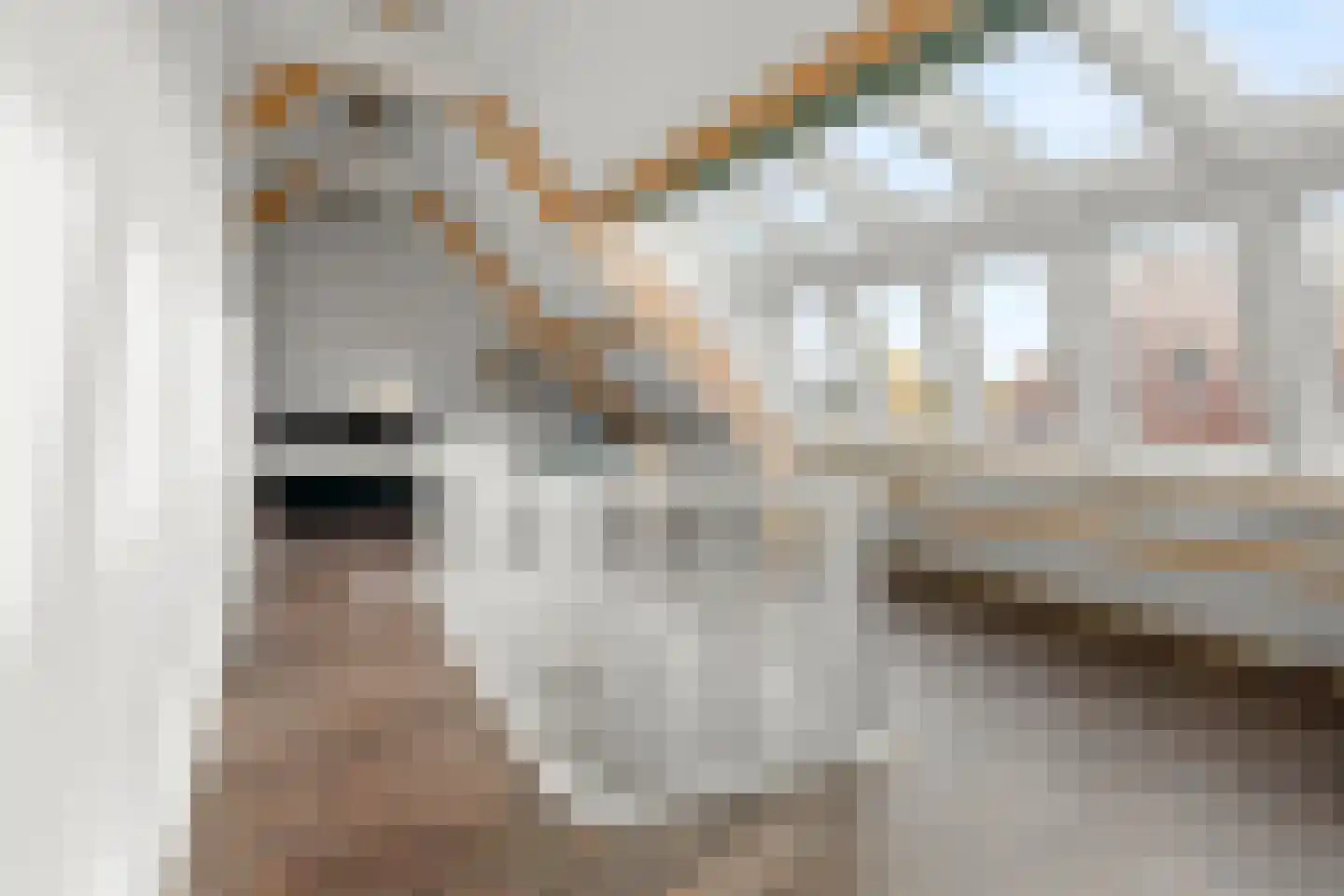 Graanhoeve 21 Arnhem thumbnail 35