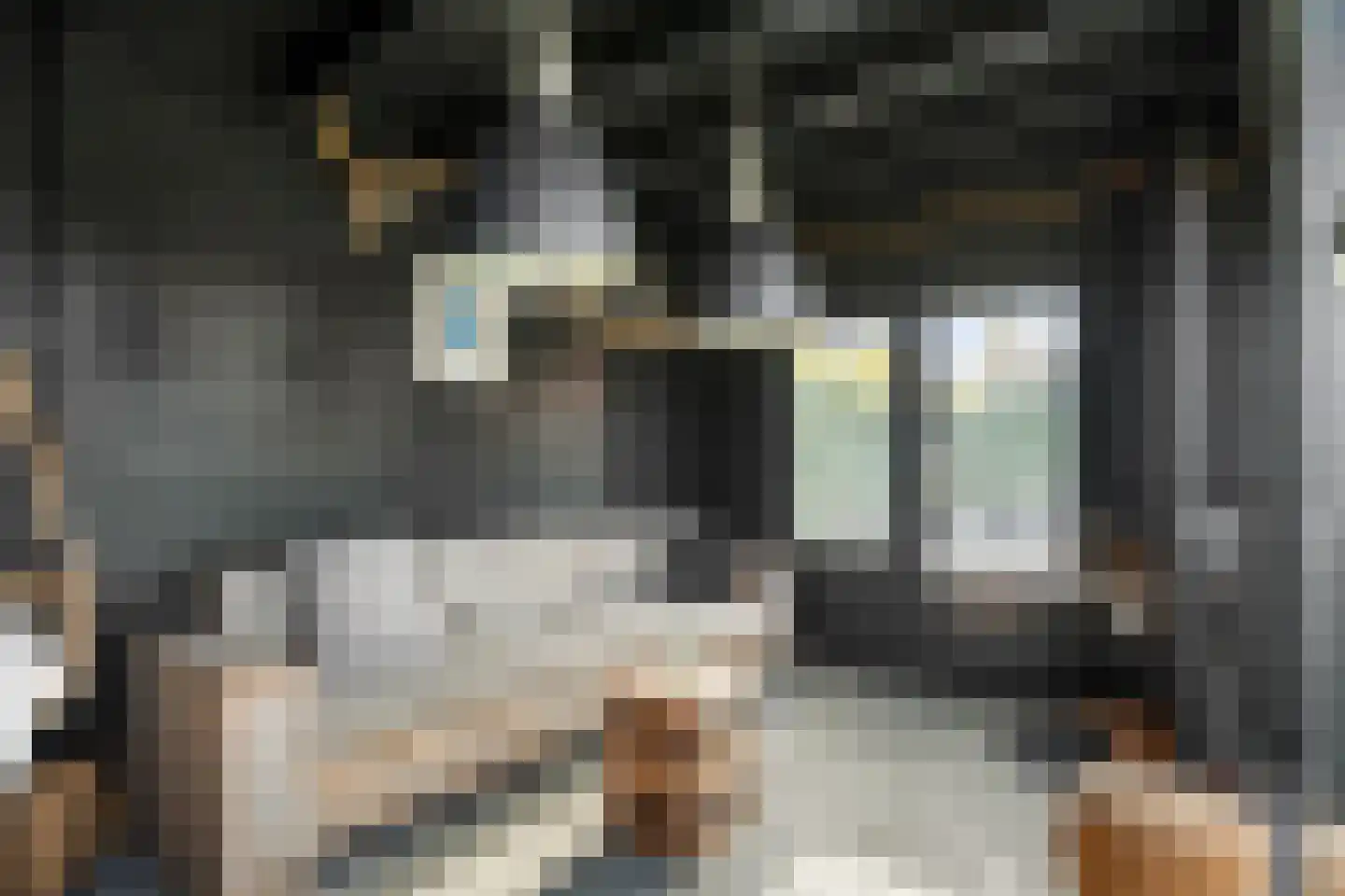 Graanhoeve 21 Arnhem thumbnail 41