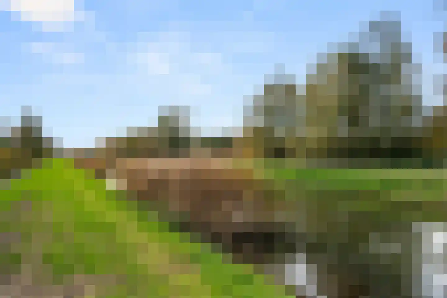 Graanhoeve 21 Arnhem thumbnail 45