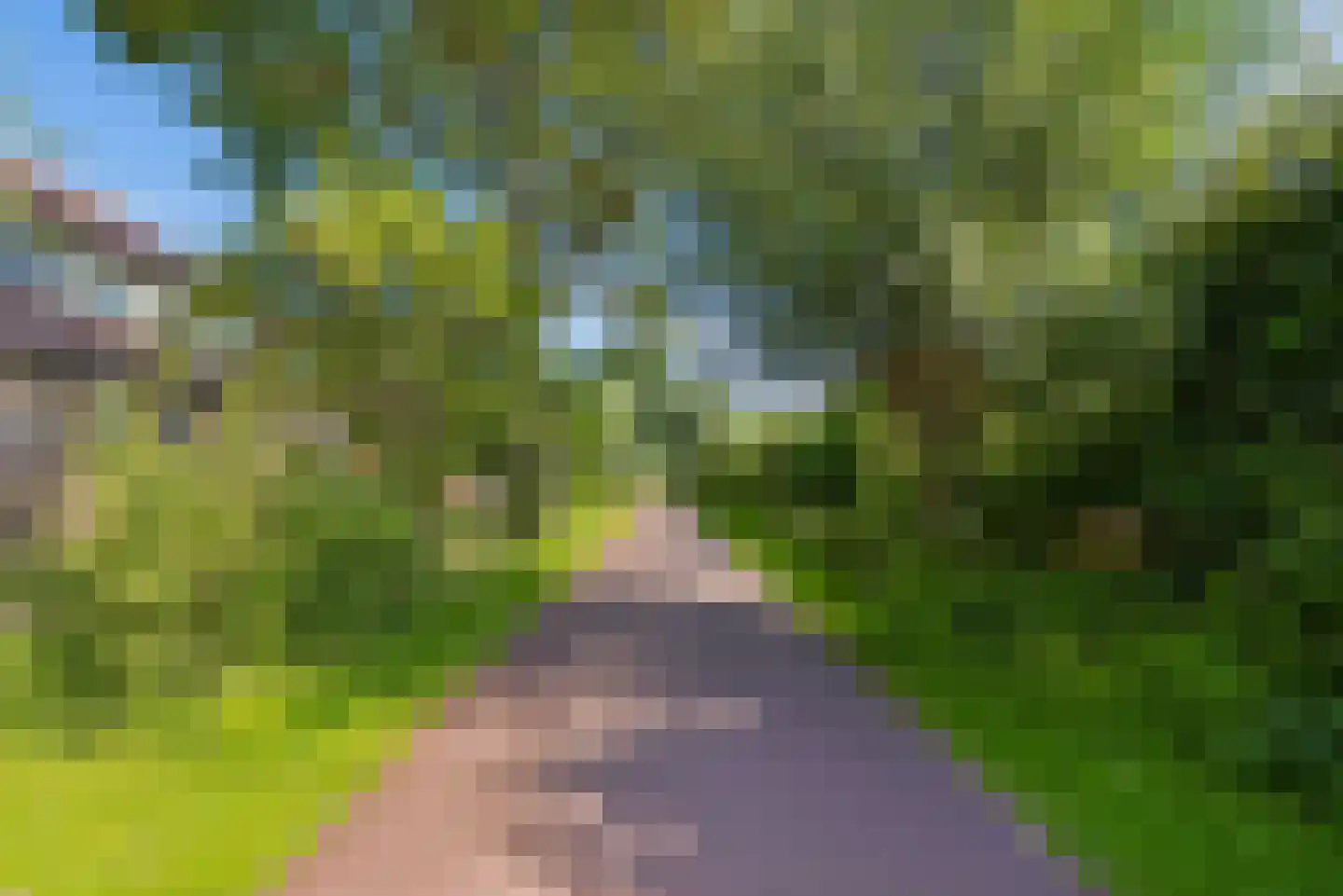 Graanhoeve 36 Houten thumbnail 31