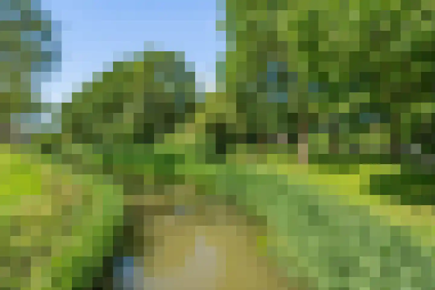 Graanhoeve 36 Houten thumbnail 36