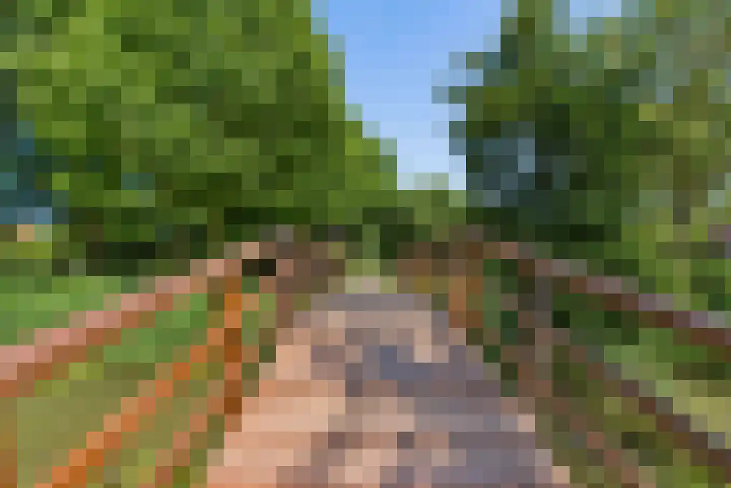 Graanhoeve 36 Houten thumbnail 37