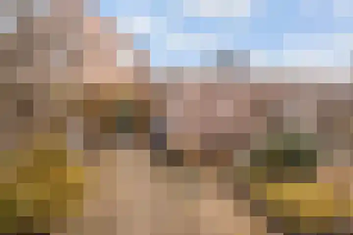 Graanhoeve 38 Houten thumbnail 16