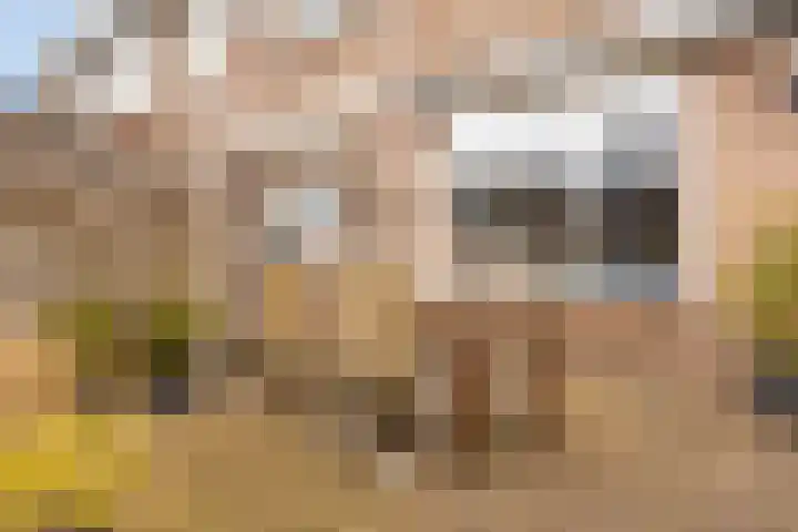 Graanhoeve 38 Houten thumbnail 18