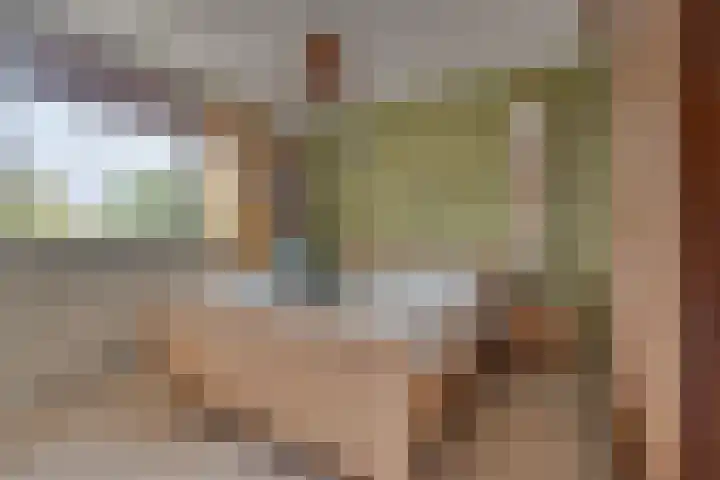 Graanhoeve 48 Houten thumbnail 22