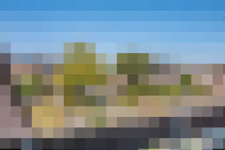 Graanhoeve 48 Houten thumbnail 24