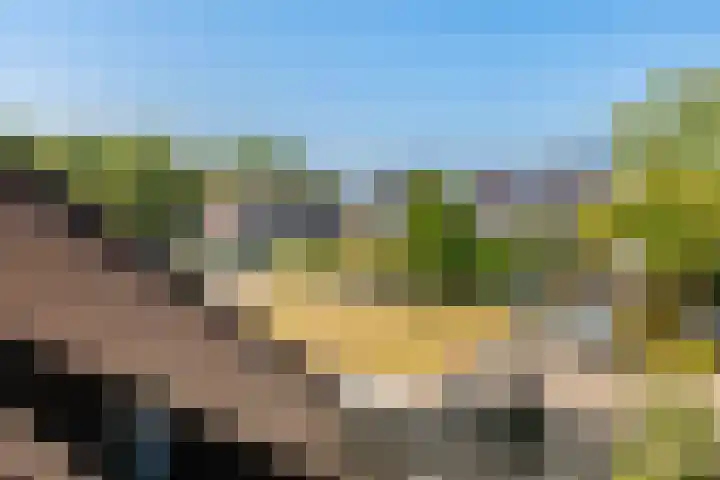 Graanhoeve 48 Houten thumbnail 25