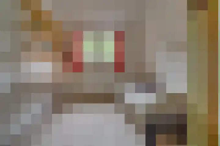 Graanhoeve 48 Houten thumbnail 29