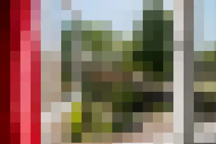 Graanhoeve 48 Houten thumbnail 30
