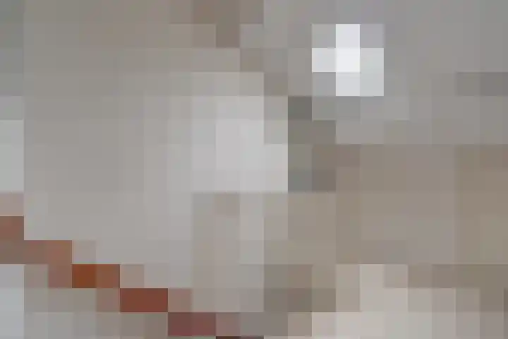 Graanhoeve 48 Houten thumbnail 33