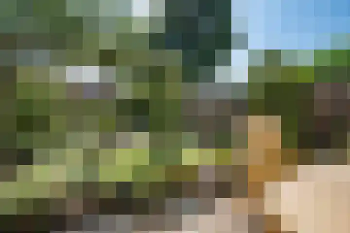 Graanhoeve 48 Houten thumbnail 37
