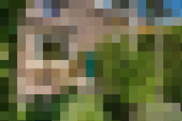 Graanhoeve 48 Houten thumbnail 38