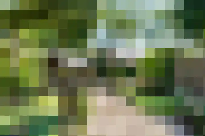 Graanhoeve 48 Houten thumbnail 40
