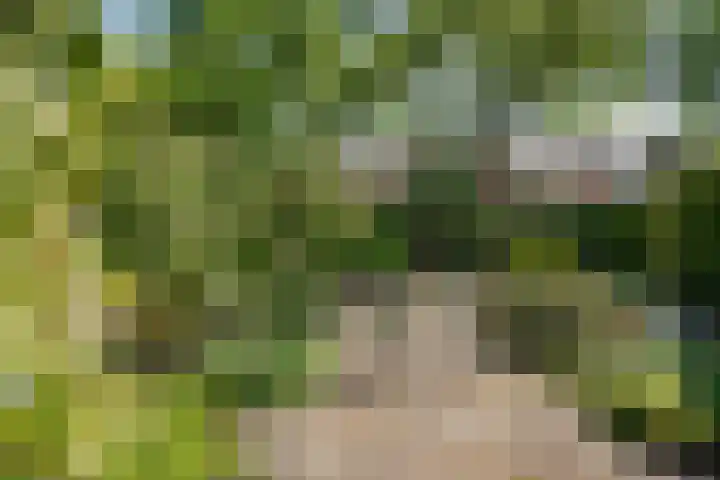 Graanhoeve 48 Houten thumbnail 41